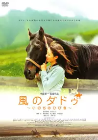 Plakat filmu Kaze no daddu
