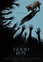 plakat filmu Good Boy