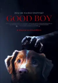 Plakat filmu Good Boy