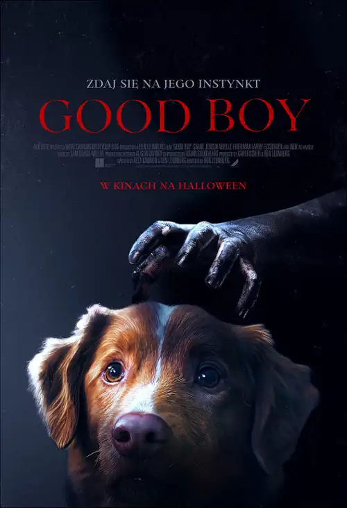 plakat filmu Good Boy