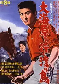 Plakat filmu Ōunabara o Yuku Wataridori