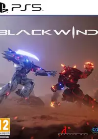 Plakat gry Blackwind