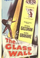 plakat filmu The Glass Wall