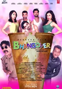 Plakat filmu Journey of Bhangover