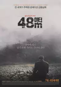 Plakat filmu 48-mi-teo