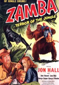 Plakat filmu Zamba