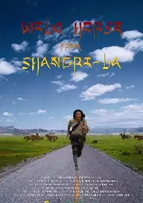 Plakat filmu Wild Horse from Shangri-La