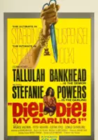 plakat filmu Fanatyk