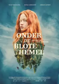 Plakat filmu Onder de blote hemel