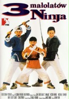 plakat filmu Trzech małolatów ninja