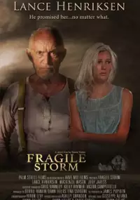 Plakat filmu Fragile Storm
