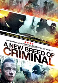 Plakat filmu Szkoła bandytów