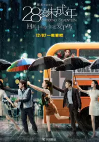 Plakat filmu 28 Sui Wei Cheng Nian