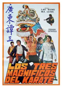 Plakat filmu Shuang quan do
