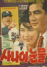 Plakat filmu Sanaiui nunmul