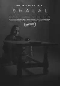 Plakat filmu Shalal