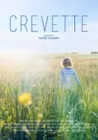 Thomas Goldberg / Crevette