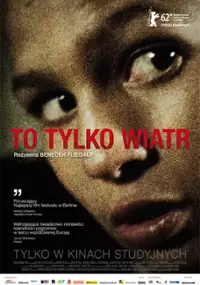 Plakat filmu To tylko wiatr