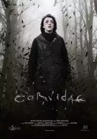 Plakat filmu Corvidae