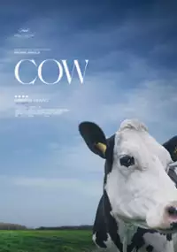 Plakat filmu Krowa