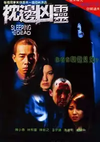 Plakat filmu Cham bin hung leng