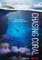 plakat filmu Ścigając koralowce
