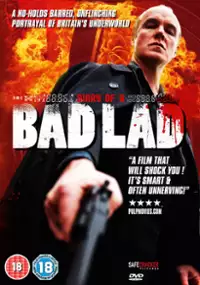 Plakat filmu Diary of a Bad Lad