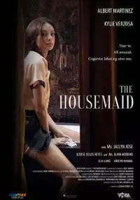 Plakat filmu The Housemaid