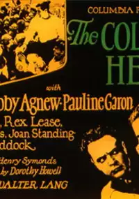 Plakat filmu The College Hero
