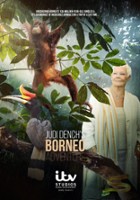 plakat filmu Judi Dench na tropikalnym Borneo