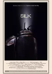 Plakat filmu Silk