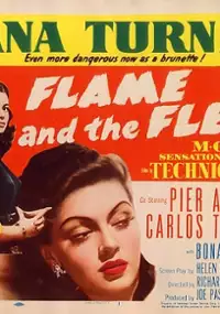 Plakat filmu Flame and the Flesh