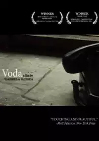 Plakat filmu Voda