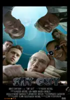 plakat filmu Nieśmiały