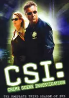 plakat - CSI: Kryminalne zagadki Las Vegas (2000)