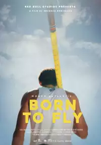 Plakat filmu Born to Fly