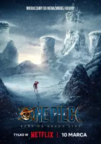 Plakat serialu One Piece