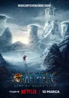plakat filmu One Piece