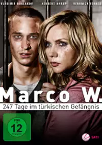 Plakat filmu 247 dni