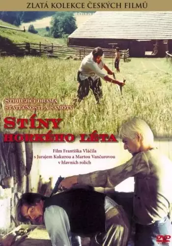 plakat filmu Cienie gorącego lata