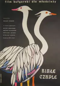Plakat filmu Białe czaple
