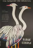 Zahari Zhandov / Białe czaple