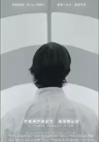 Plakat filmu Perfect World