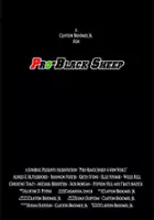 Michael Bernstein / Pro-Black Sheep
