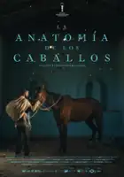 Carlos Ca&ntilde;as Carreira / La anatomía de los caballos