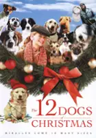 Travis T. Flory / Wigilijna opowieść o 12 pieskach