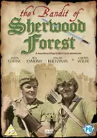 plakat filmu Syn Robin Hooda