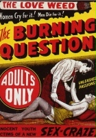 plakat filmu The Burning Question