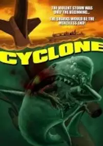 Plakat filmu Cyclone