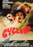 plakat filmu Cyclone